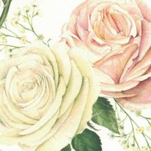 Pastel Roses Italian Paper ~ Tassotti